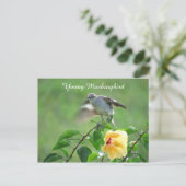 Mockingvogel Hibiscus Briefkaart (Staand voorkant)
