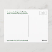 Mockingvogel Hibiscus Briefkaart (Achterkant)