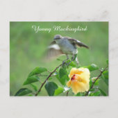 Mockingvogel Hibiscus Briefkaart (Voorkant)