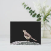 Mockingvogel op een grafsteen briefkaart (Staand voorkant)