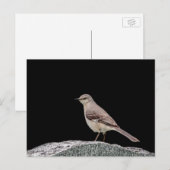 Mockingvogel op een grafsteen briefkaart (Voorkant / Achterkant)