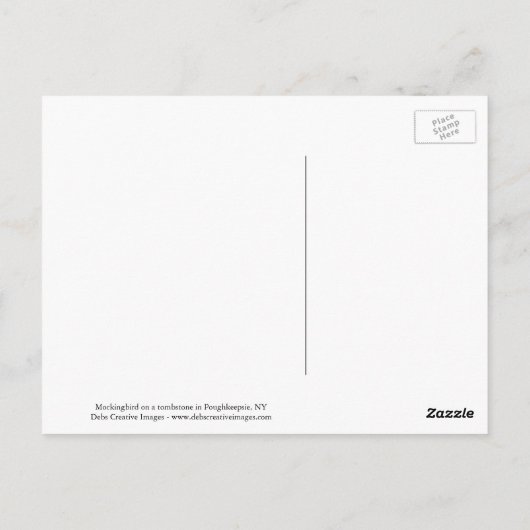 Mockingvogel op een grafsteen briefkaart (Achterkant)