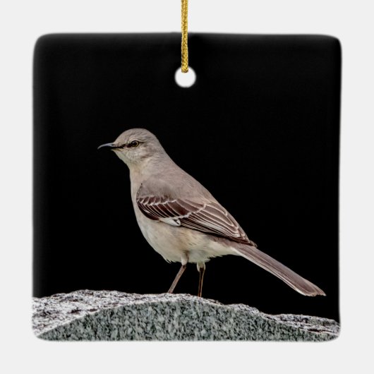 Mockingvogel op een grafsteen keramisch ornament (Achterkant)