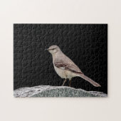 Mockingvogel op een grafsteen legpuzzel (Horizontaal)