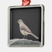 Mockingvogel op een grafsteen metalen ornament (Links)