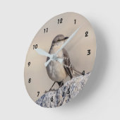 Mockingvogel op een rots ronde klok (Hoek)