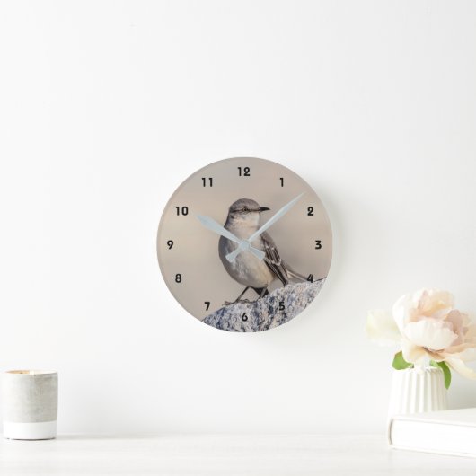 Mockingvogel op een rots ronde klok (Huis)