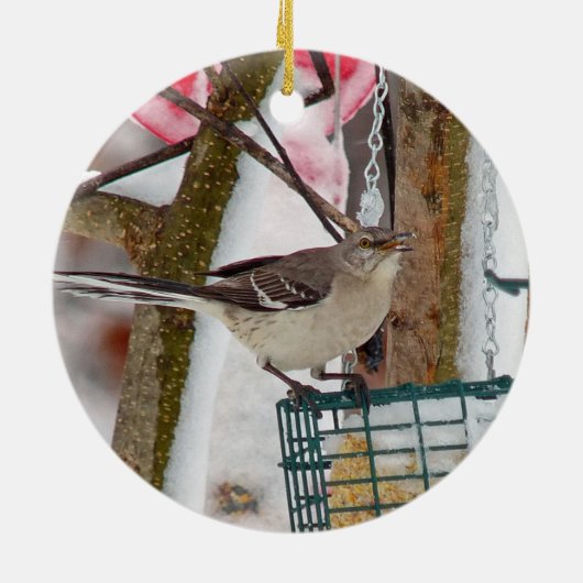 Mockingvogel Ornament (Achterkant)