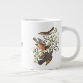 Mockingvogels en mazelen door John James Audubon Grote Koffiekop (Rechts)