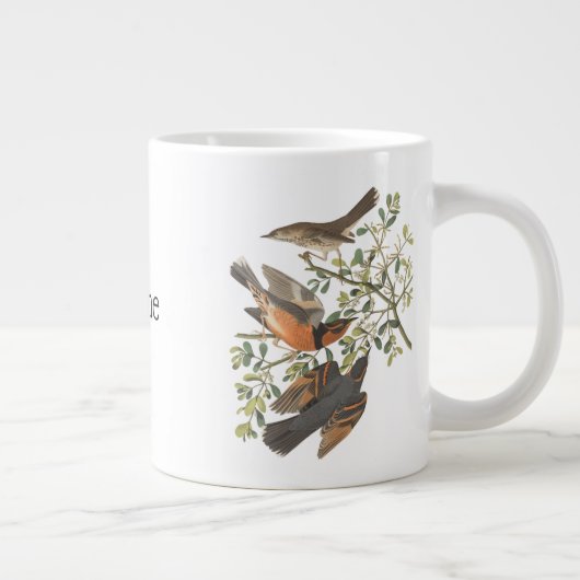 Mockingvogels en mazelen door John James Audubon Grote Koffiekop (Rechts)