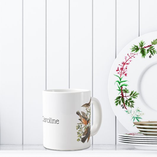 Mockingvogels en mazelen door John James Audubon Grote Koffiekop