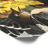 Mockingvogels, John James Audubon Poster (Hoek)