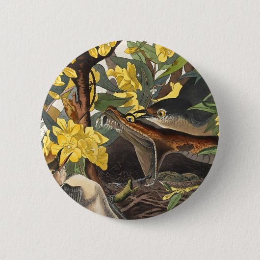Mockingvogels, John James Audubon Ronde Button 5,7 Cm (Voorkant)