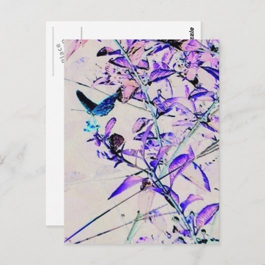 Mod Butterfly - Briefkaart (Voorkant / Achterkant)