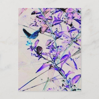 Mod Butterfly - Briefkaart