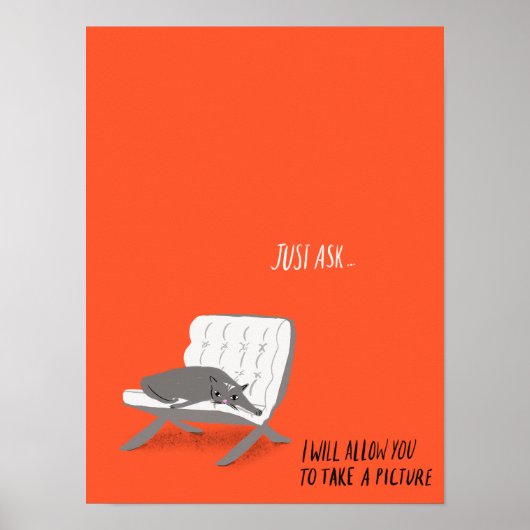 Mod Cats - Vraag het gewoon Poster (Voorkant)