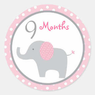 Mod Roze Olifant Meisje Maandelijkse Mijlpaal Stic Ronde Sticker