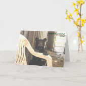 Modderige Kapalua - Wenskaart Kaart (Gele Bloem)