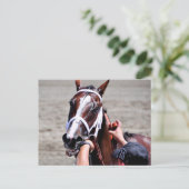 Mode Alert wint Schuylerville Briefkaart (Staand voorkant)