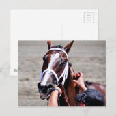 Mode Alert wint Schuylerville Briefkaart (Voorkant / Achterkant)