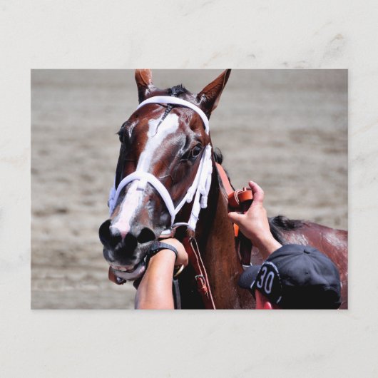 Mode Alert wint Schuylerville Briefkaart (Voorkant)