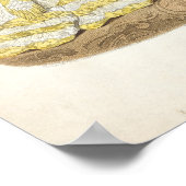 Mode bord met balkoppen poster (Hoek)