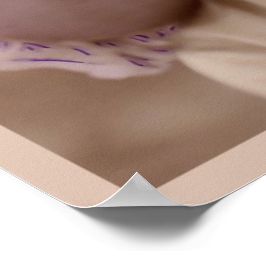 Mode "Roze dame" Poster (Hoek)