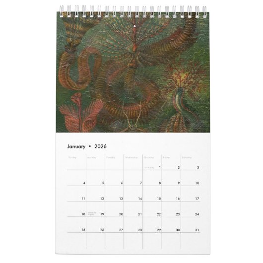 Mode Vrouwen Kalender (Jan 2026)