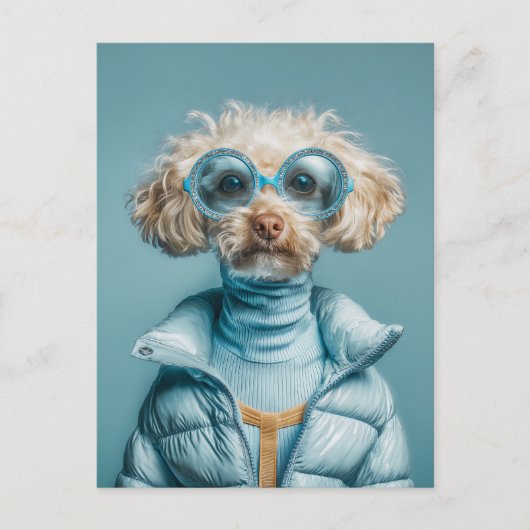 Modehond in blauwe outfit briefkaart (Voorkant)
