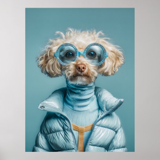 Modehond in blauwe outfit poster (Voorkant)