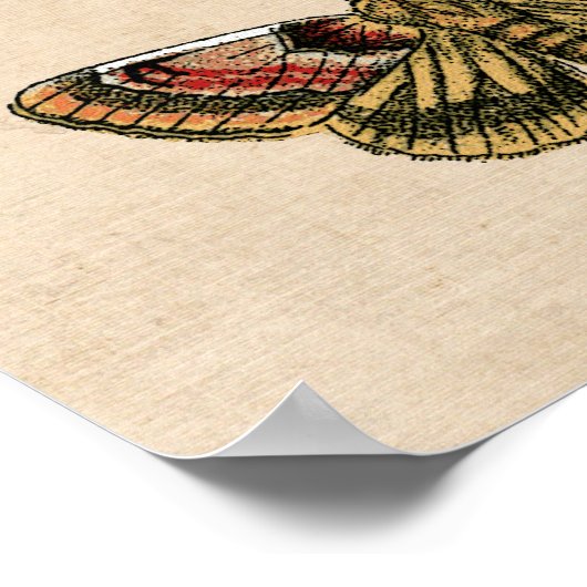 modekunst poster (Hoek)