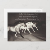 Model Horse Lovers verzamelt de dingen waarvan je  Briefkaart (Voorkant / Achterkant)
