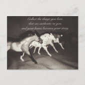 Model Horse Lovers verzamelt de dingen waarvan je  Briefkaart (Voorkant)