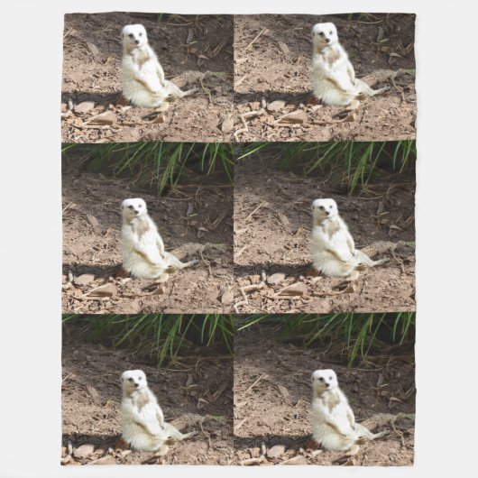 Model in het wild: White Meerkat Posing voor Camer Fleece Deken (Voorkant)