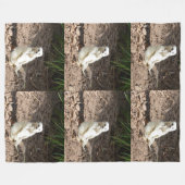 Model in het wild: White Meerkat Posing voor Camer Fleece Deken (Voorkant (Horizontaal))