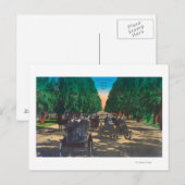 Model-T-snoeren op oorney AvenueFresno, CA Briefkaart (Voorkant / Achterkant)