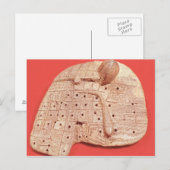 Model van een schapenlever briefkaart (Voorkant / Achterkant)