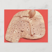 Model van een schapenlever briefkaart (Voorkant)