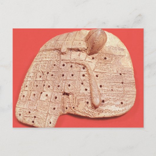 Model van een schapenlever briefkaart (Voorkant)