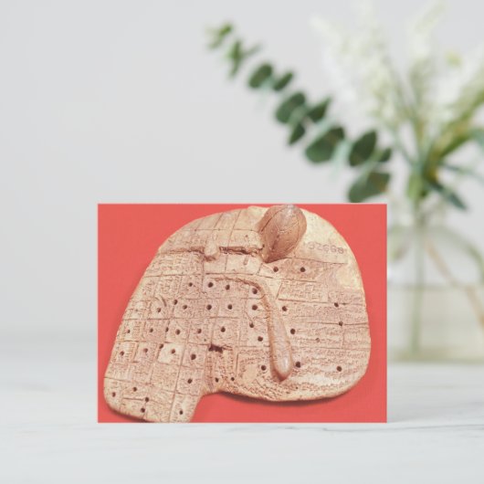 Model van een schapenlever briefkaart (Staand voorkant)