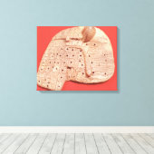 Model van een schapenlever canvas afdruk (Insitu (Houten vloer))