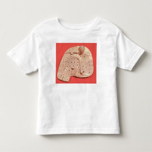Model van een schapenlever kinder shirts (Voorkant)