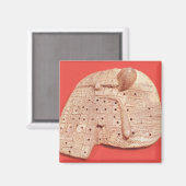 Model van een schapenlever magneet (Voorkant / Achterkant)