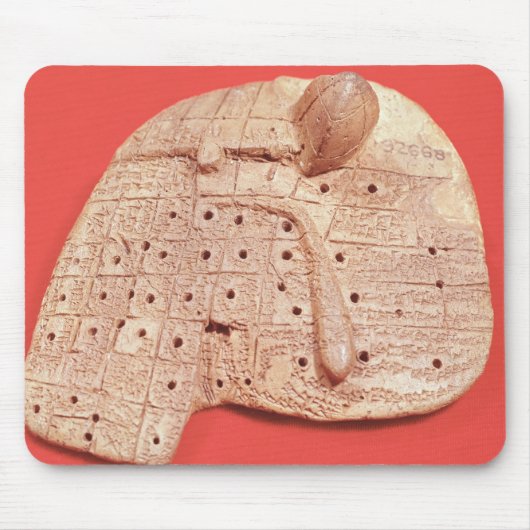 Model van een schapenlever muismat (Voorkant)