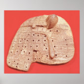 Model van een schapenlever poster (Voorkant)