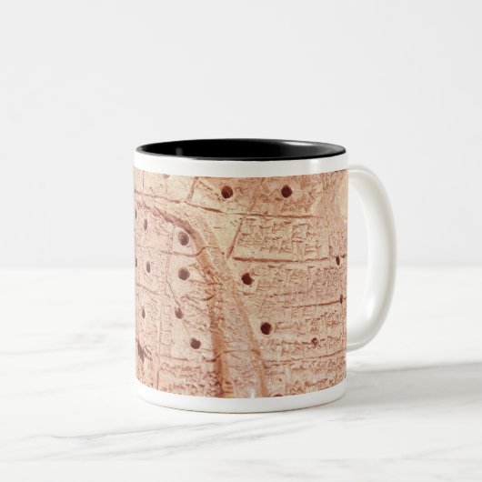 Model van een schapenlever tweekleurige koffiemok (Voorkant rechts)