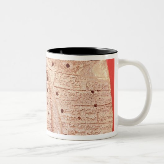 Model van een schapenlever tweekleurige koffiemok (Rechts)