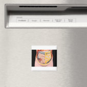 Model van menselijke buik met darmen magneet (Insitu (Vaatwasser))