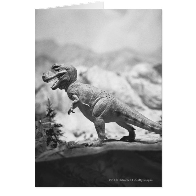 Model van tyrannosaurus rex B&W (Voorkant)