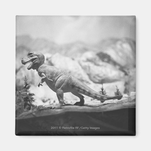 Model van Tyrannosaurus rex B&W Magneet (Voorkant)